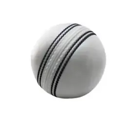 Plain White Cricket Hard Ball for Professional Cricket Team player High quality Cricket ball for Training Matches