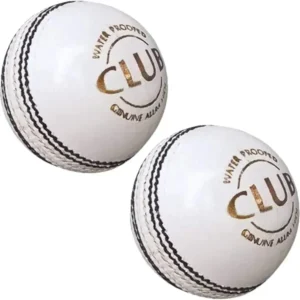 Premium Two Part Cricket Leather Ball for Practice, T20, One Day and Test Matche