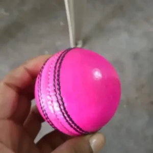 Imported Cricket Leather Ball-Pink Cricket Cricket Leather Ball (Pack Of 30, Pink)