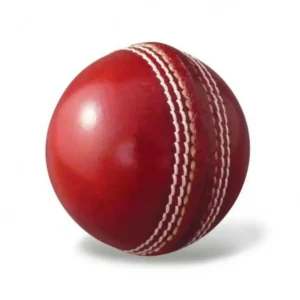 Hand Stiched Four Piece Cricket Leather Ball ) for T20, One Day and Test Matches (Skyline, Red),